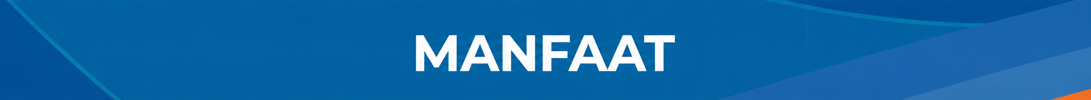 Logo Bank Raya